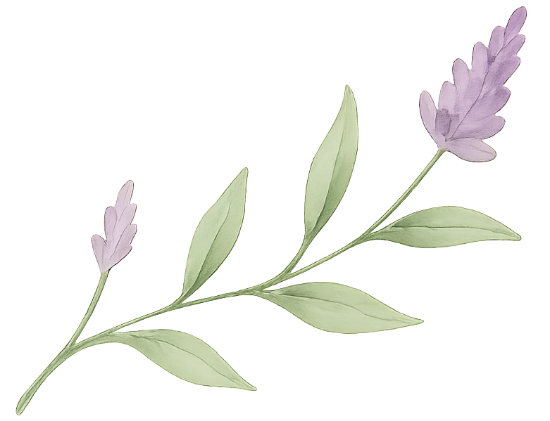 Lavender Sprig