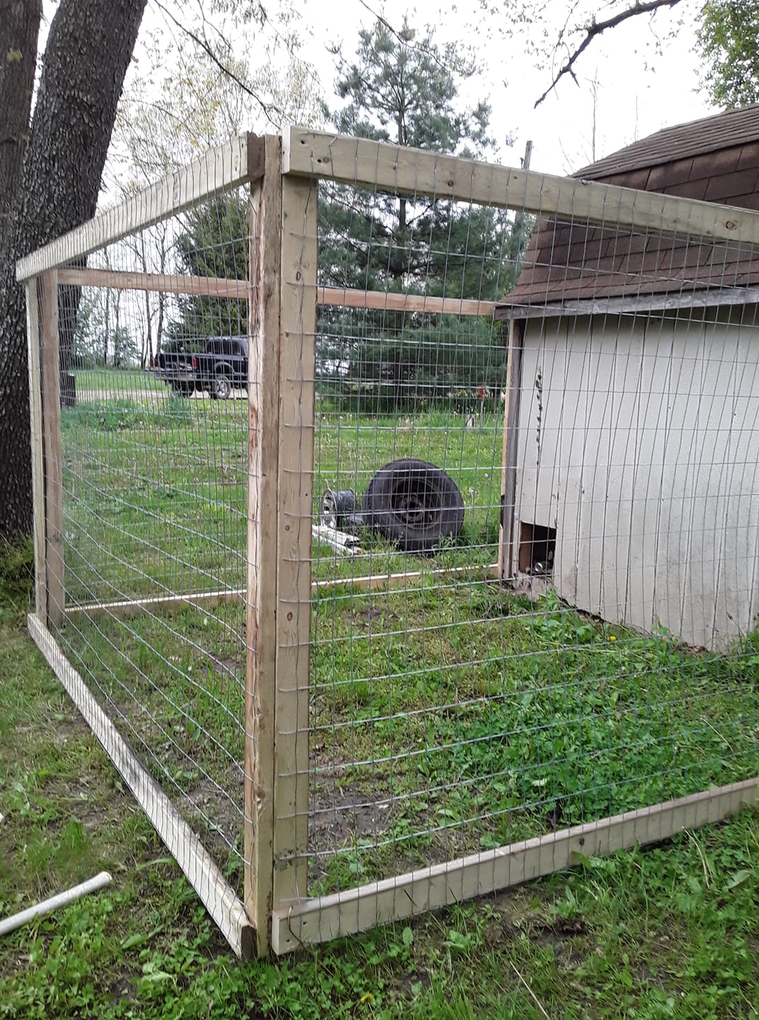 Chicken Pen for the chicks and Ducks