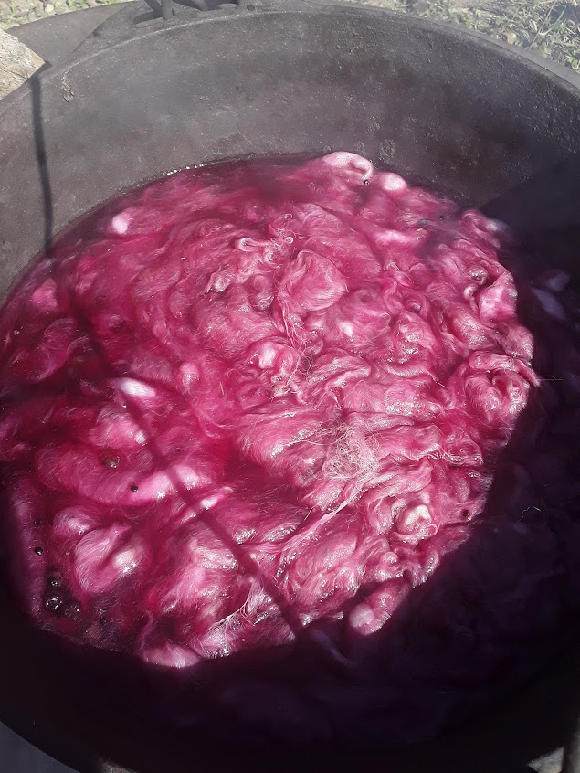 Poke berry dyed fiber in pot