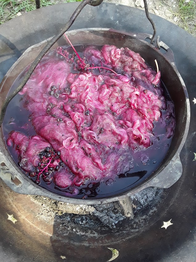 Fiber dyeing with poke berries over open fire