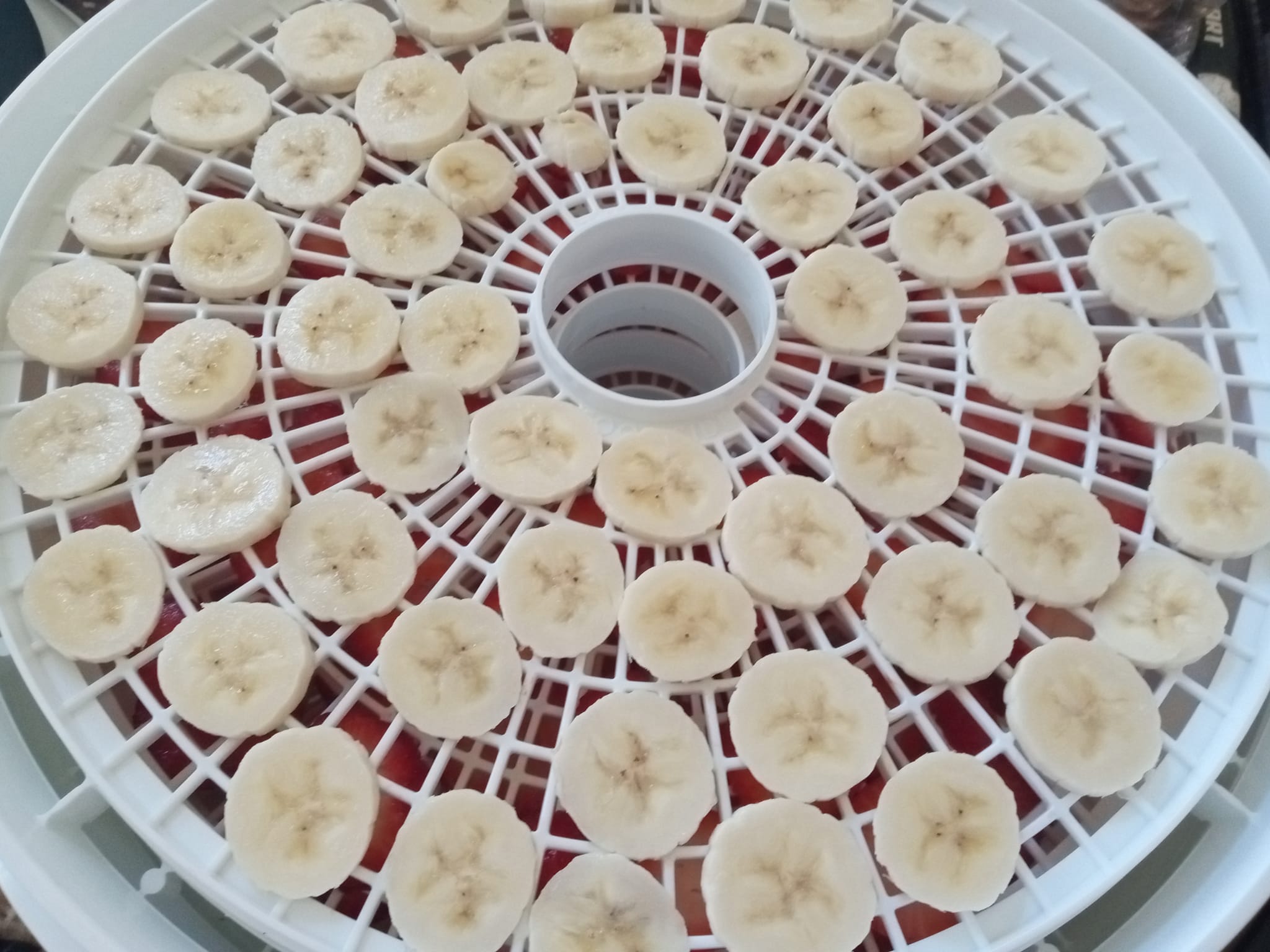 Dehydrated bannanas