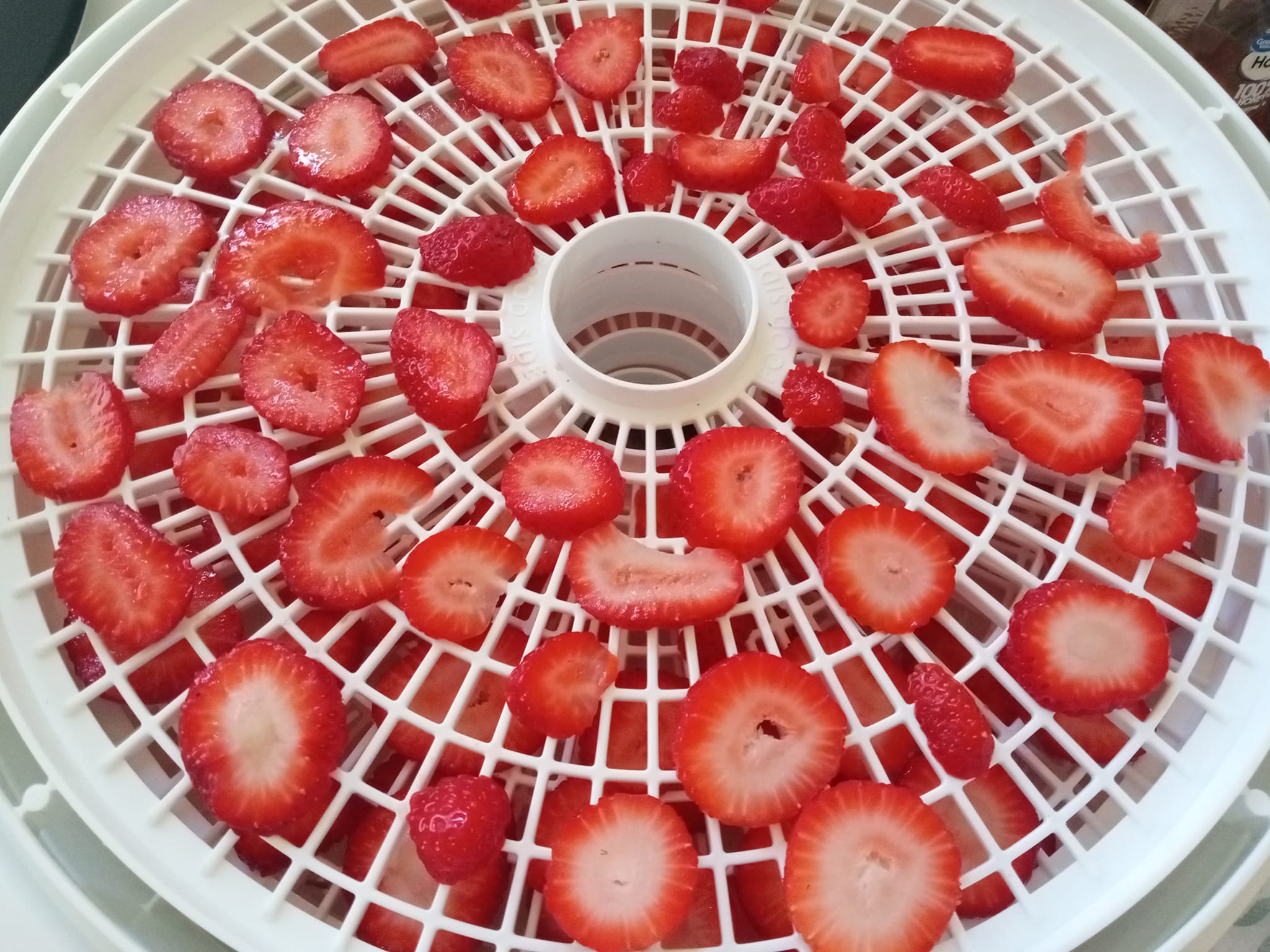 Dehydrated strawberries