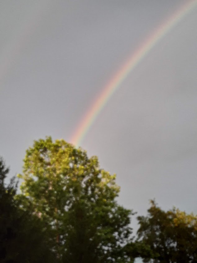 Rainbow