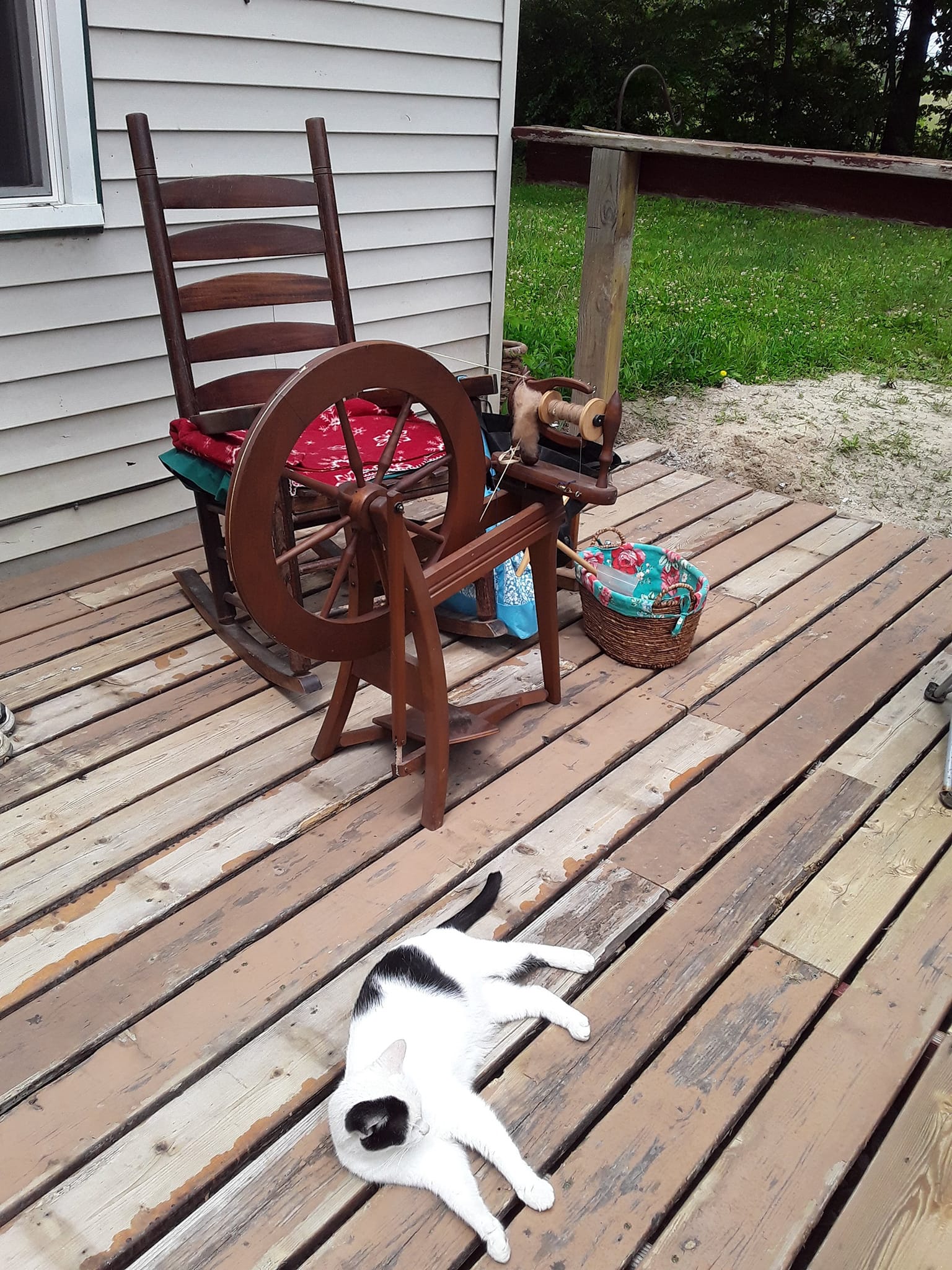 Spinning wheel and kitty on the porch