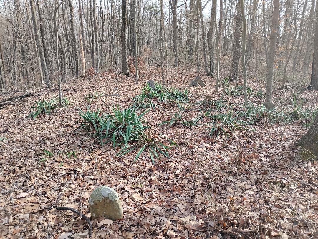 Jones Family Cemetery – Estill County, Kentucky