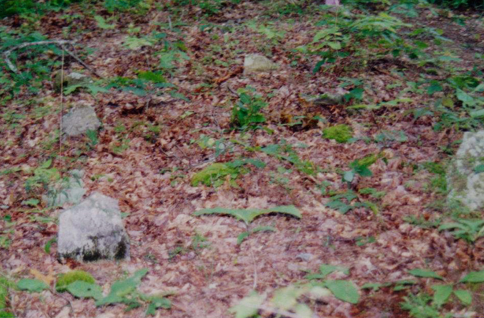 Pitts Cemetery Menifee County, Kentucky