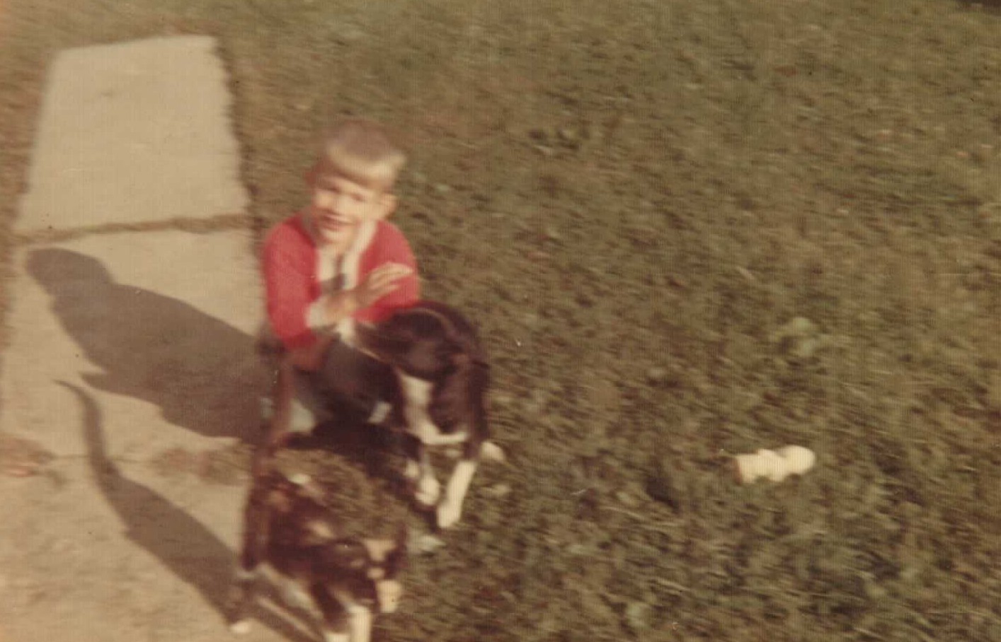 Ishmael with dogs on the sidewalk