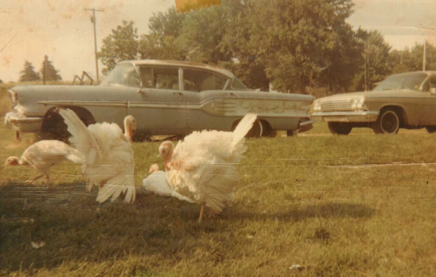 Virginia Rogers holding Twin Daughters