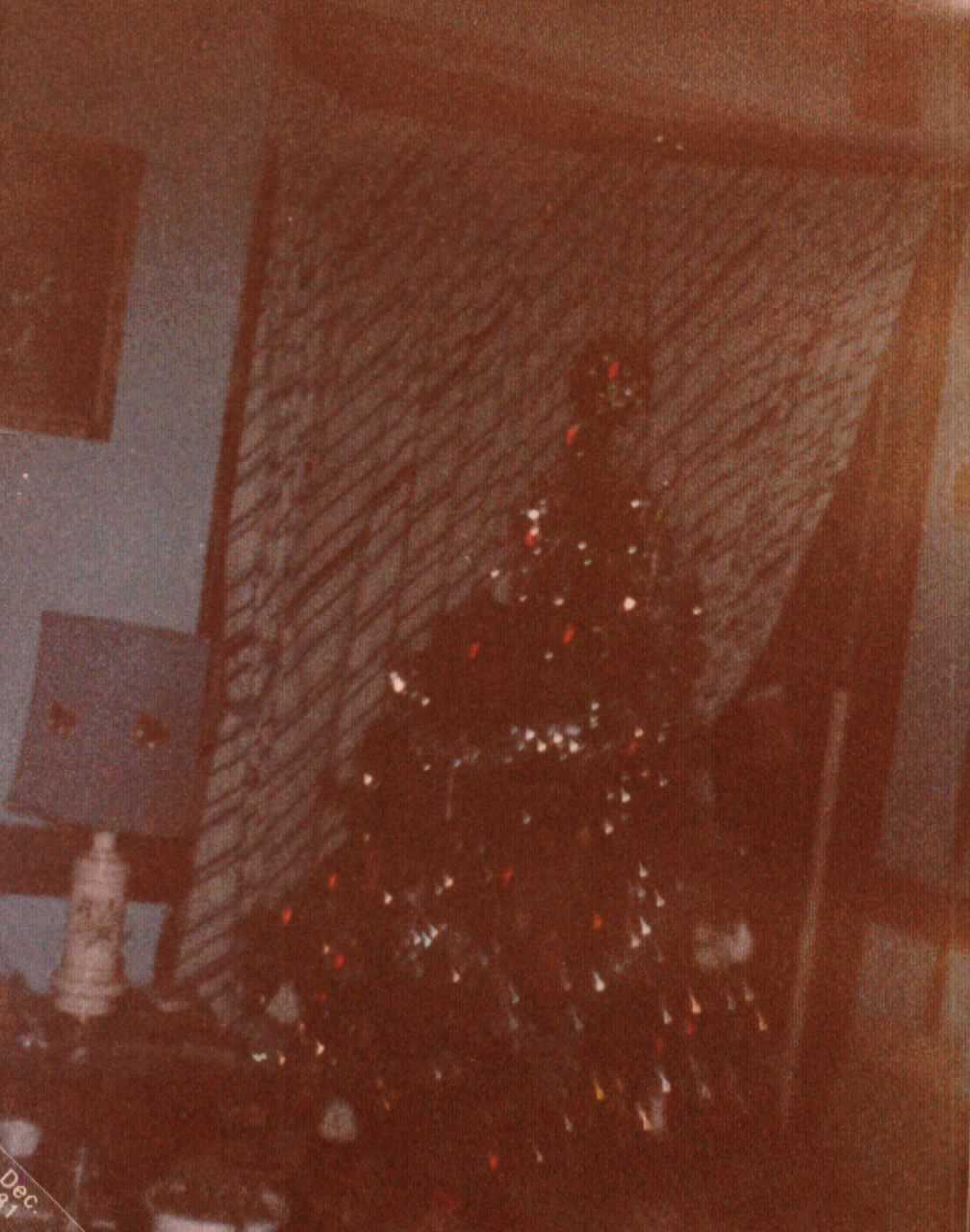Christmas At Strawtown Pike Dec 1981
