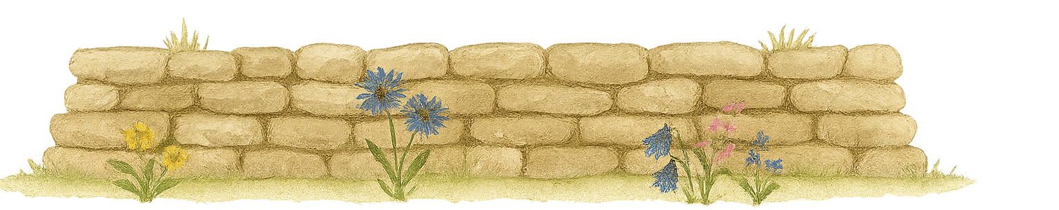 Stone fence with wildflowers