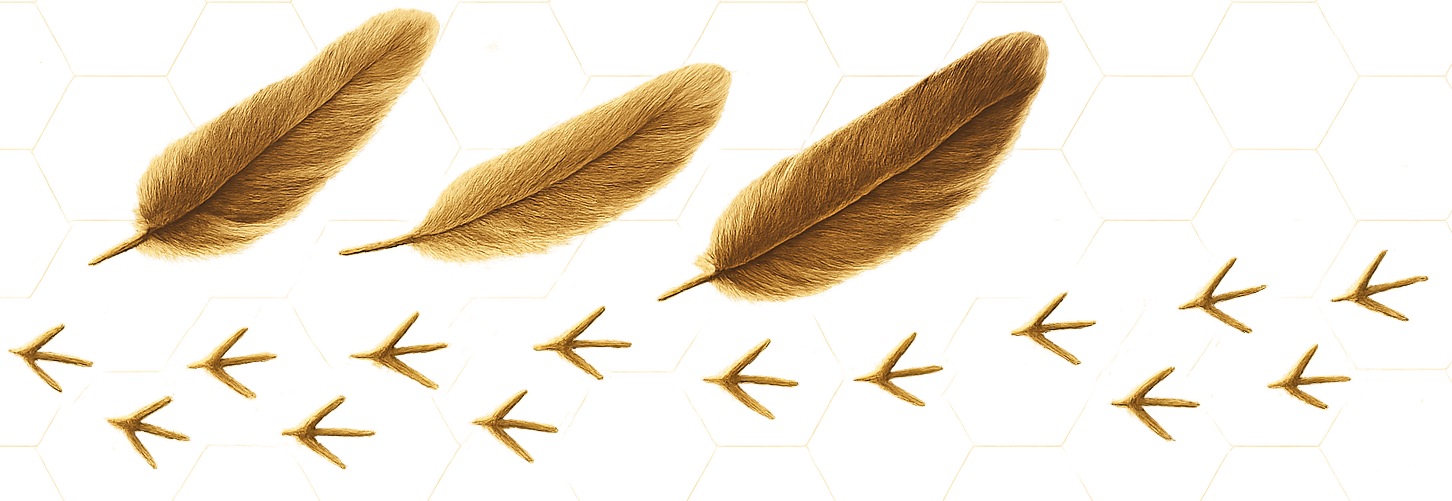 Feather divider