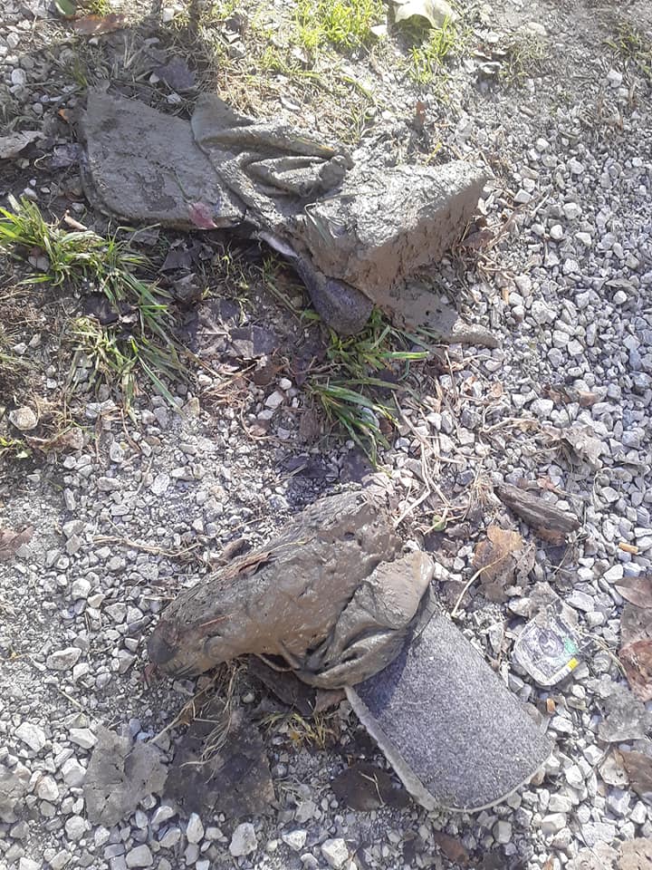 Muddy boots