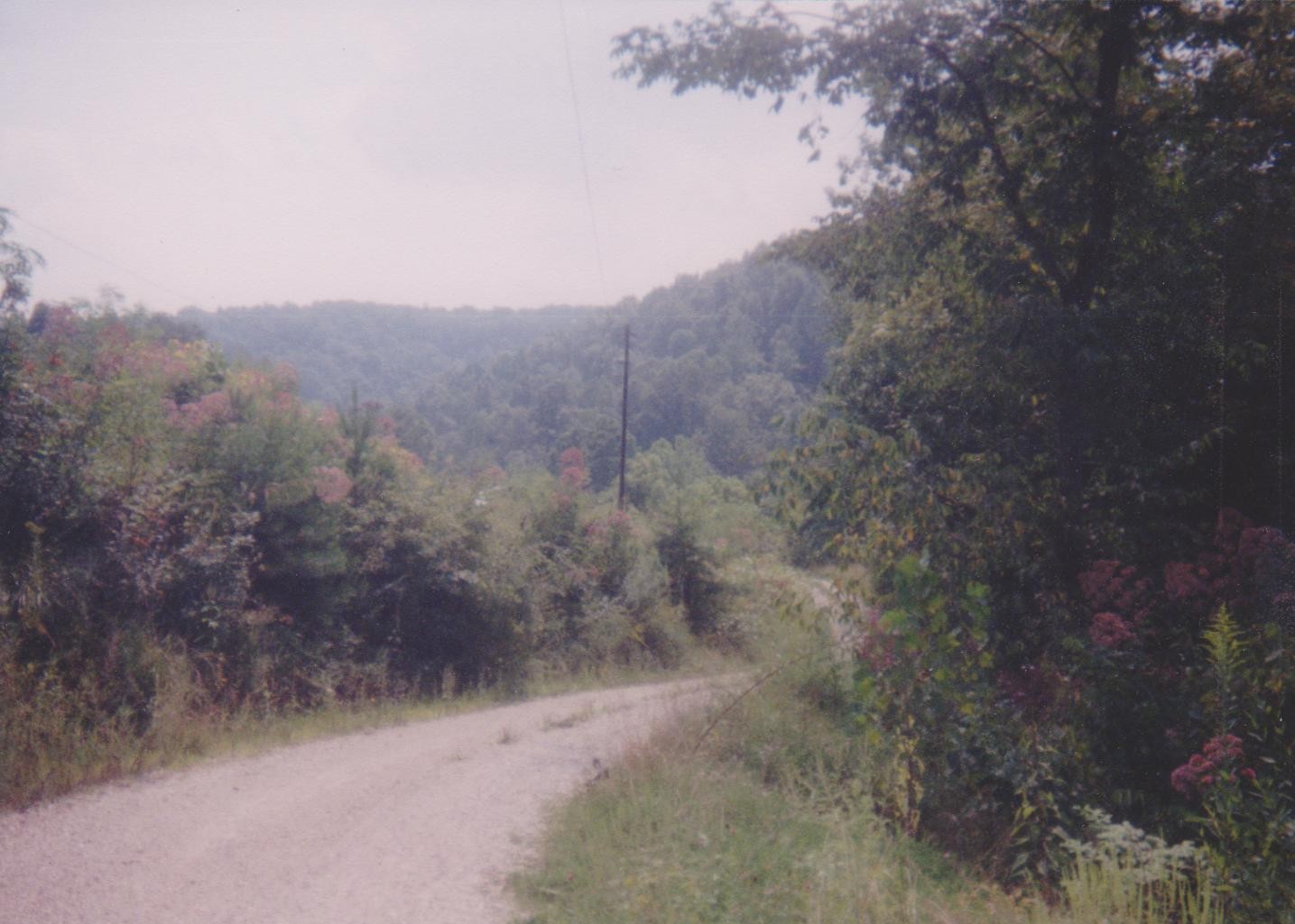 Road in Leatherwood