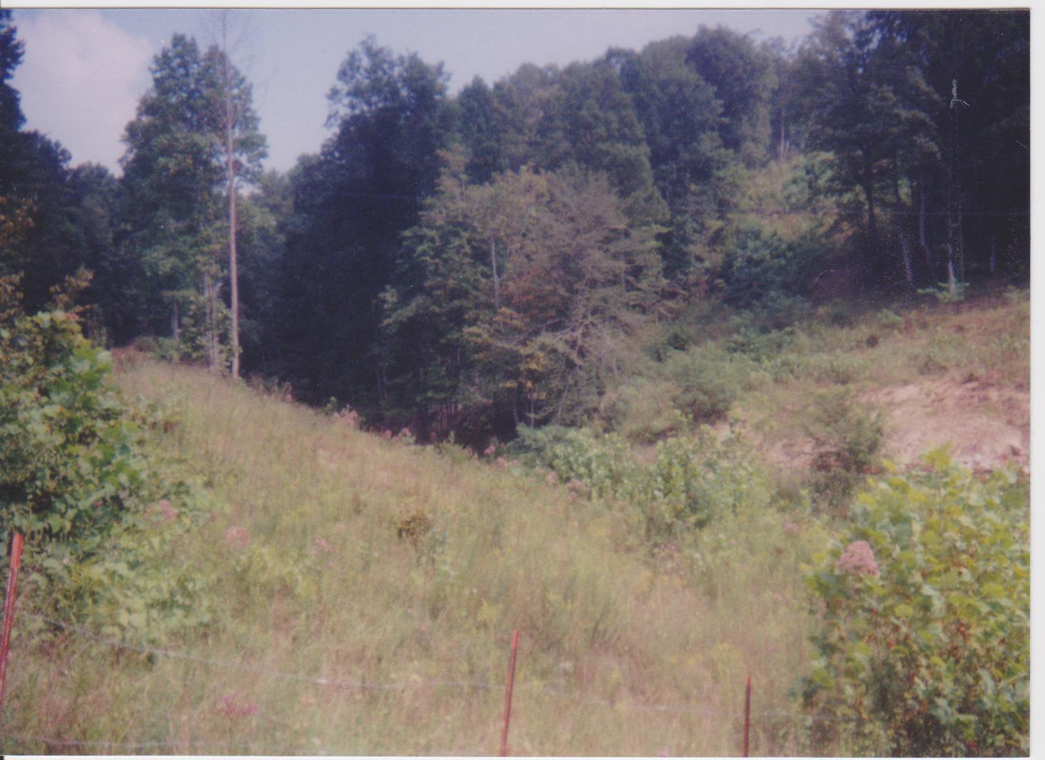 View at Leatherwood