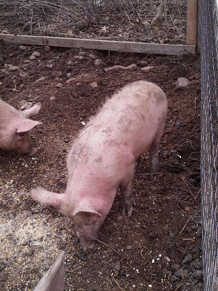 Side view of grown-up Sally with others
