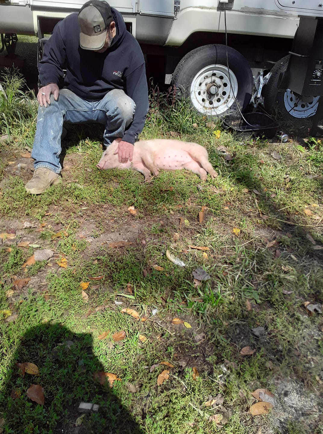 The feller rubbing Sally’s belly as she lays down