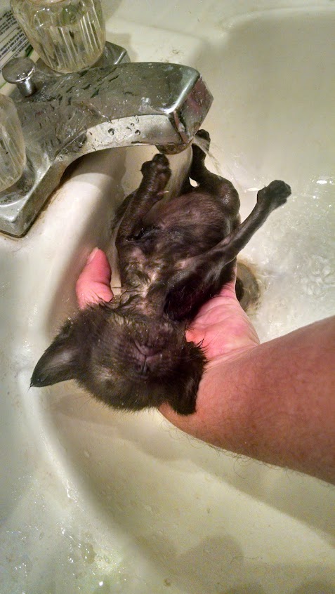 Seesters Bath Time