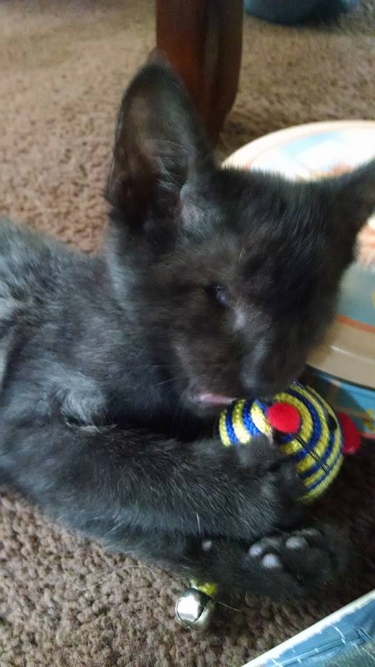 Playtime