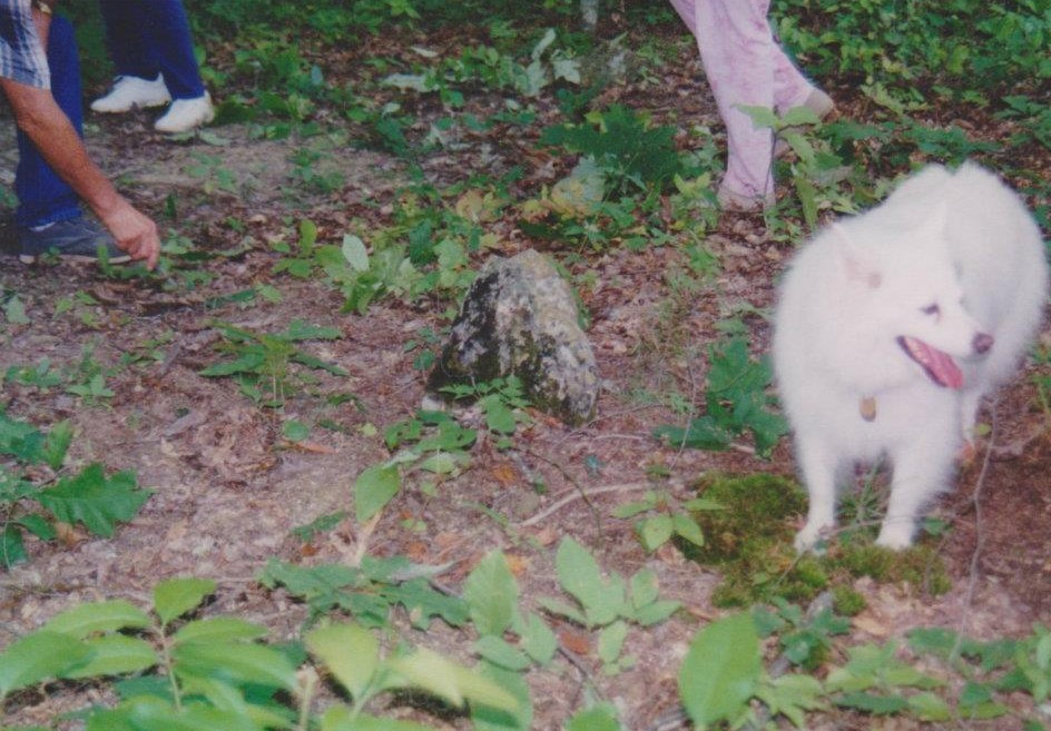 Unmarked Graves at Spaus Creek
