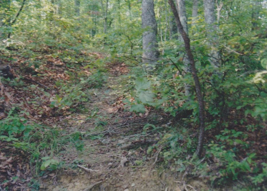 The Trail Heading back down from Spaus Creek