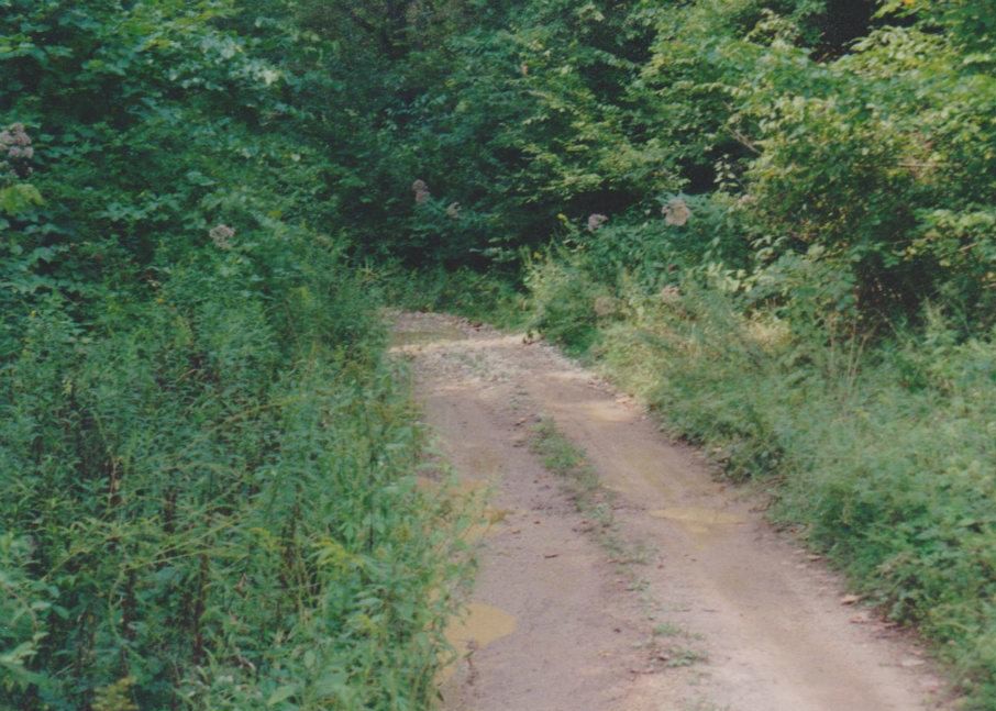 The Trail Heading back down from Spaus Creek