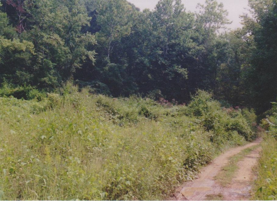 Further up the Path