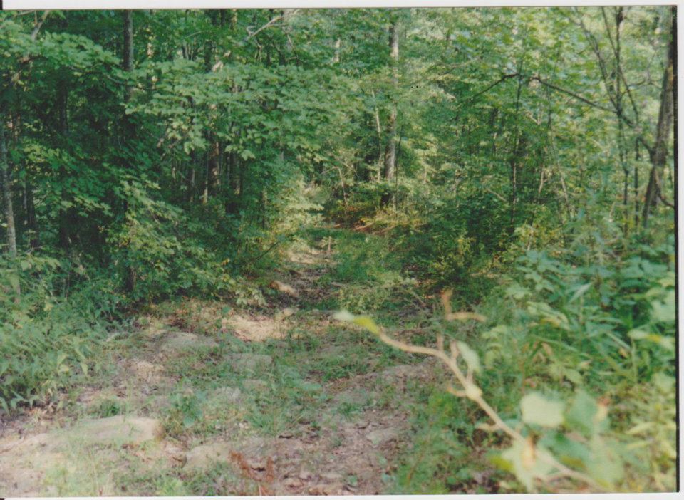 Trail getting a little steeper